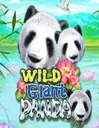 วิธีเล่นสลอต sbobet ให้สนุกเหมือนได้เที่ยวสวนสนุก